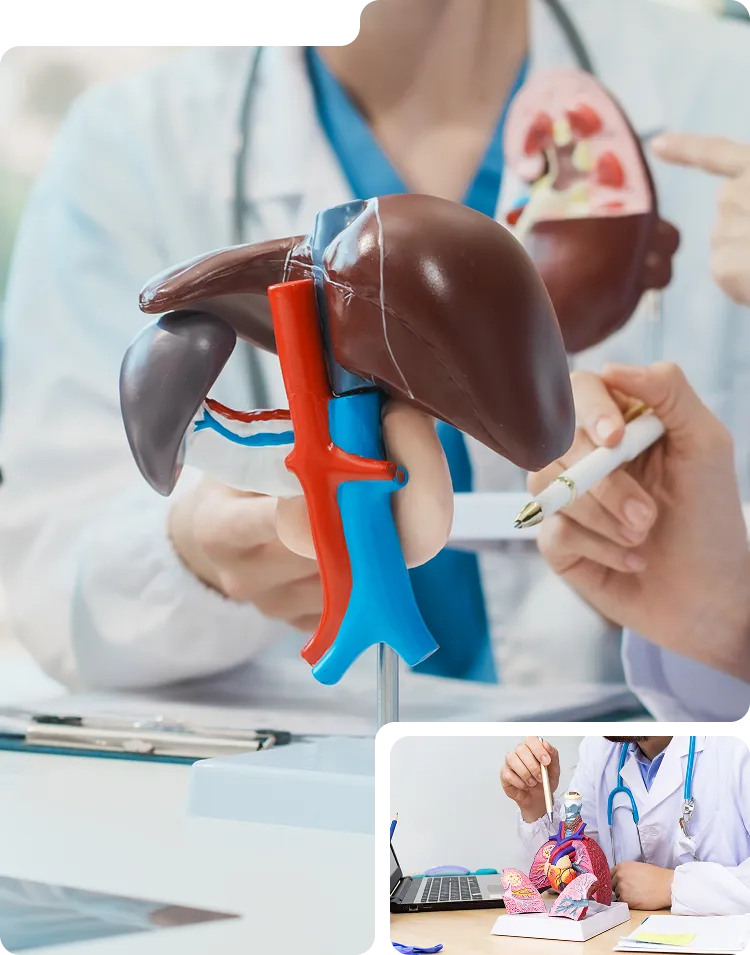 Pulmonology AI-Driven Clinic Software