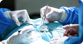 Vascular Surgery